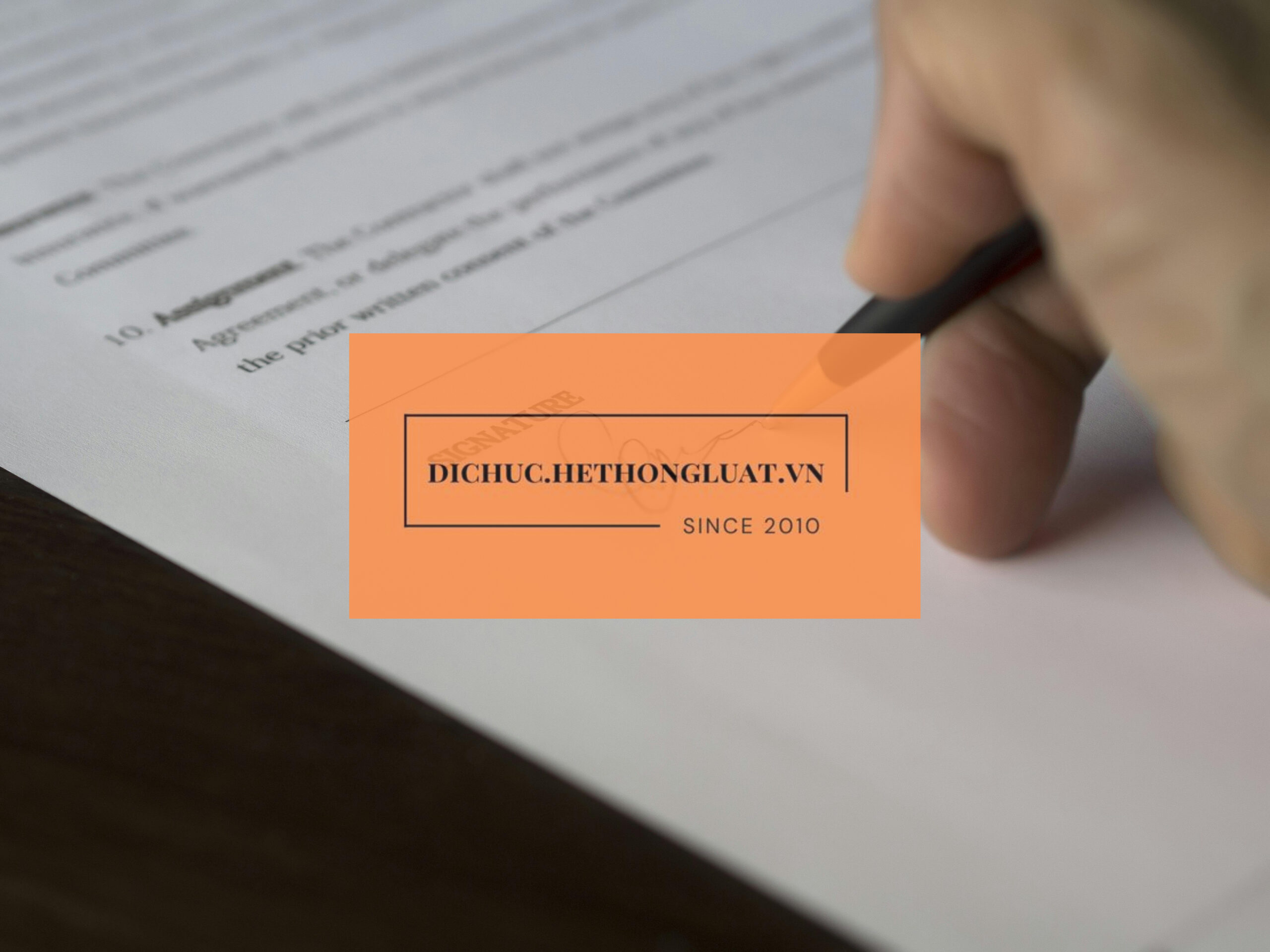 Chuyên gia pháp lý biên soạn hồ sơ thừa kế ở khu vực Xã Đất Đỏ, Thành phố Hồ Chí Minh - Ảnh 2
